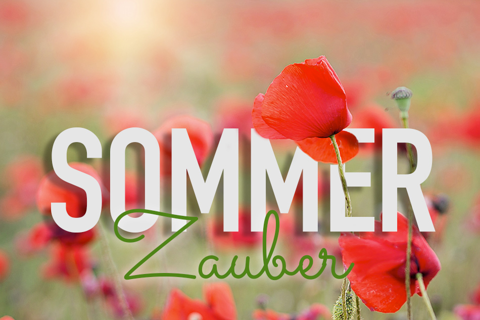 Sommerblumen